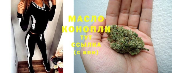молекула духа Переславль-Залесский