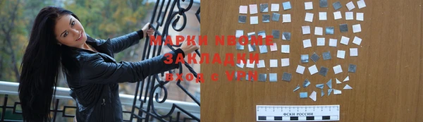 прущие грибы Медвежьегорск