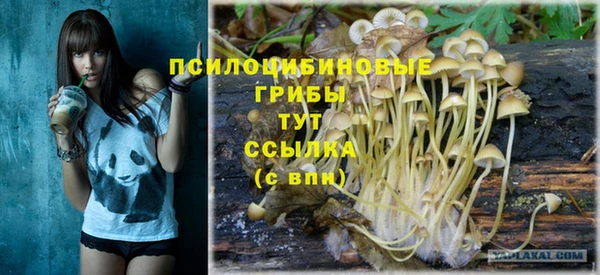дмт Михайловск