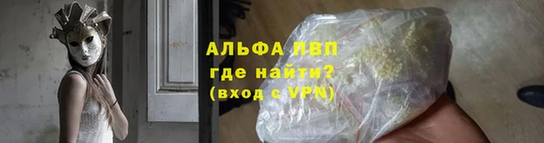 прущие грибы Медвежьегорск