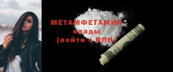 прущие грибы Медвежьегорск