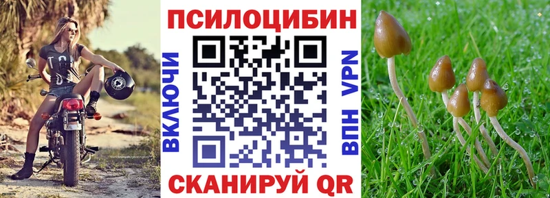 Галлюциногенные грибы мицелий  продажа наркотиков  Орлов 